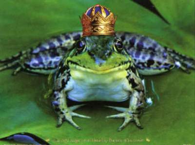 FrogKing.jpg