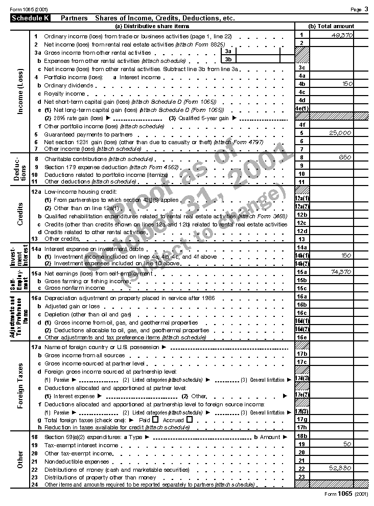 1065 tax return example